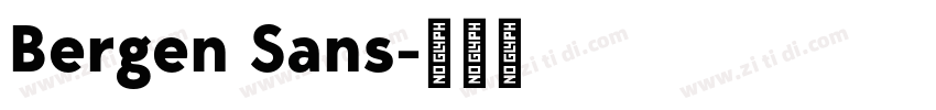 Bergen Sans字体转换